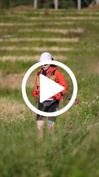 BIB:  <button type="button" onclick="openModal(26786812)" class="btn btn-primary btn-sm float-right" data-toggle="modal" data-target=".modal-high-quality">
                <i class="fa fa-download"></i> Download
                </button>